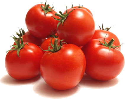 Fresh Tomatoes