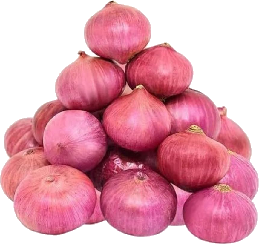 Onion