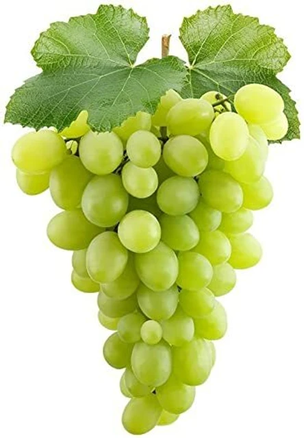Green Grapes