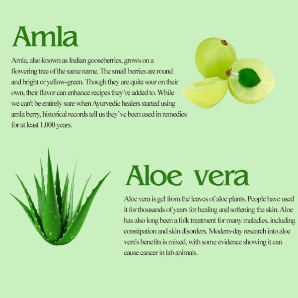 Amla Aloevera Shampoo - Image 4