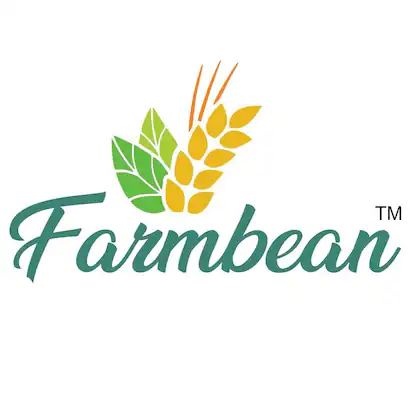 Farmbean Palm Sugar | Palmyra - Image 5