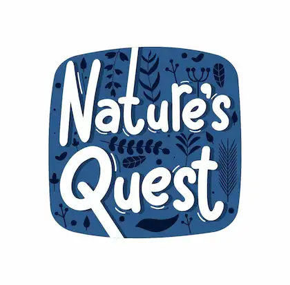 Nature's Quest Himalayan Pink Salt 900 Gms - Image 10